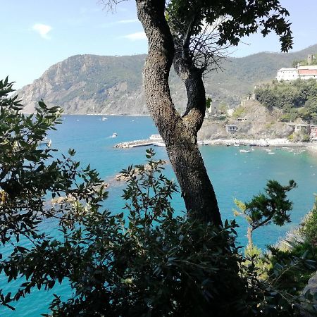 La Terrazza Sul Mare ☆☆☆☆☆ Monterosso Apartment Monterosso al Mare Exterior photo