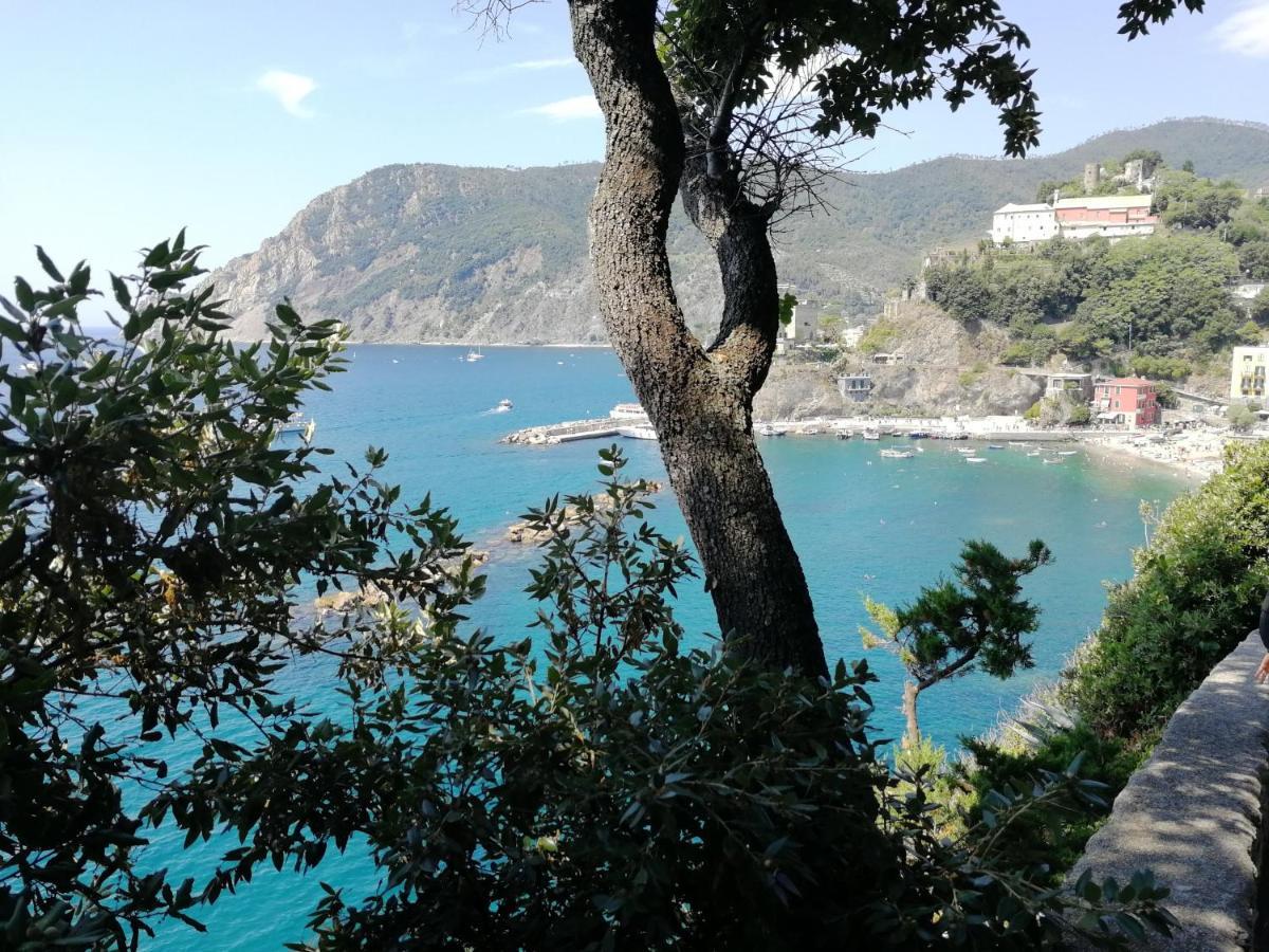 La Terrazza Sul Mare ☆☆☆☆☆ Monterosso Apartment Monterosso al Mare Exterior photo